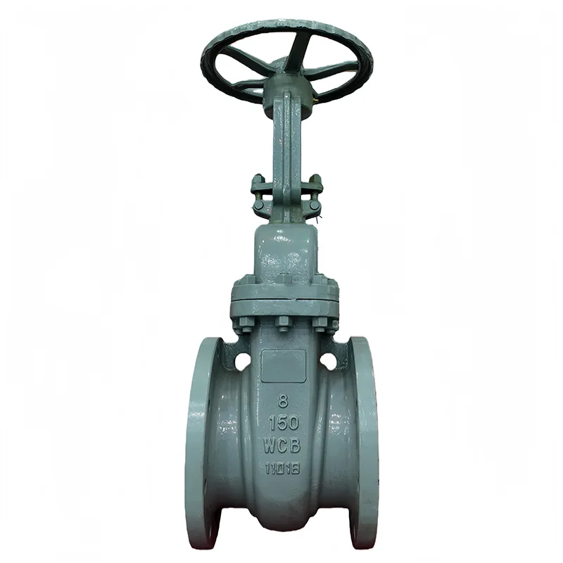 Válvula de gaveta com flange ANSI de aço carbono